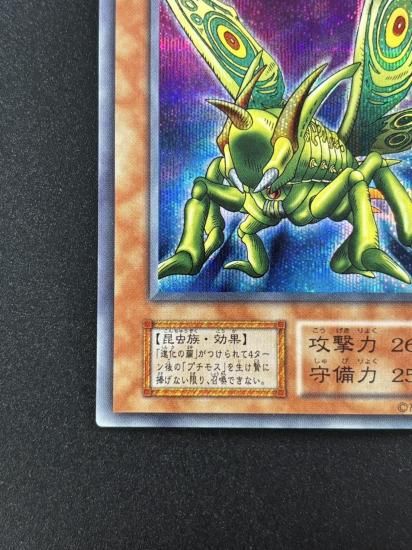 【状態B】●グレート・モス