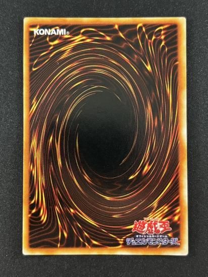 【状態B】●ハーピィの羽根帚