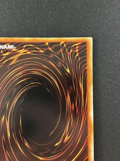 【状態B】●ハーピィの羽根帚