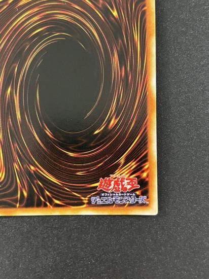 【状態B】●ハーピィの羽根帚