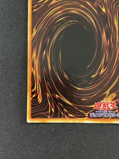 【状態B】●ハーピィの羽根帚