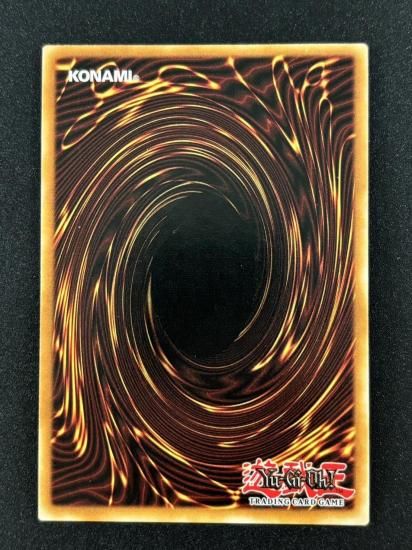 【状態B】●Firewall Dragon(OP16-EN002)