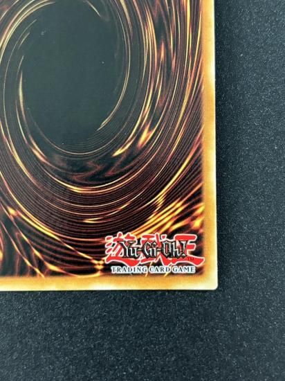 【状態B】●Firewall Dragon(OP16-EN002)