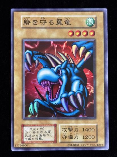 【状態B】●砦を守る翼竜