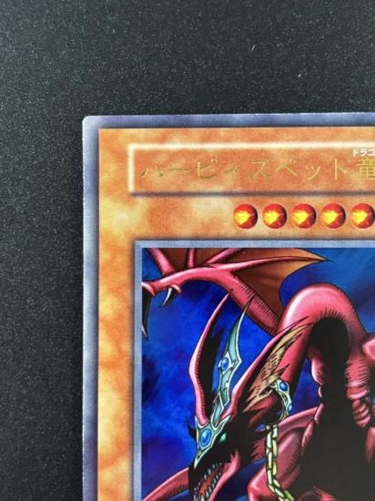 【状態B】●ハーピィズペット竜