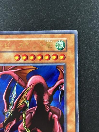 【状態B】●ハーピィズペット竜