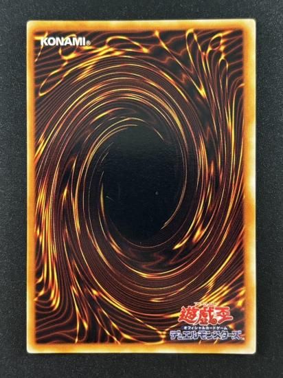 【状態B】●ハーピィズペット竜