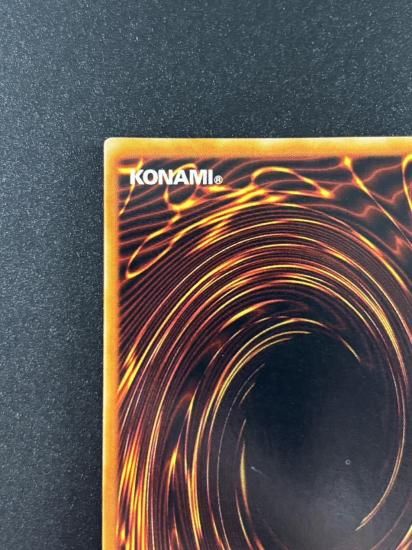 【状態B】●ハーピィズペット竜