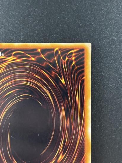 【状態B】●ハーピィズペット竜