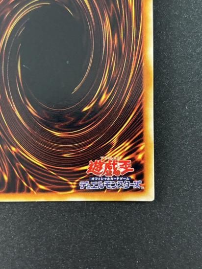 【状態B】●ハーピィズペット竜