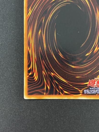 【状態B】●ハーピィズペット竜