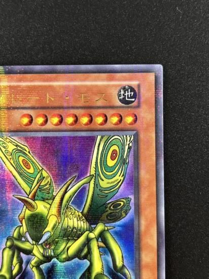 【状態B】●グレート・モス