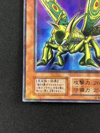 【状態B】●グレート・モス