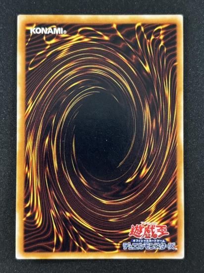 【状態B】●グレート・モス