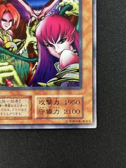 【状態B】●ハーピィ・レディ三姉妹