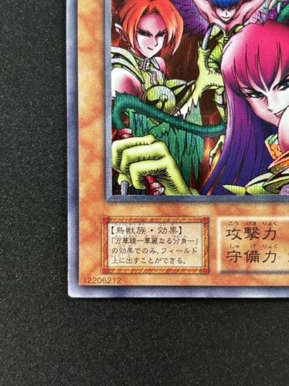 【状態B】●ハーピィ・レディ三姉妹