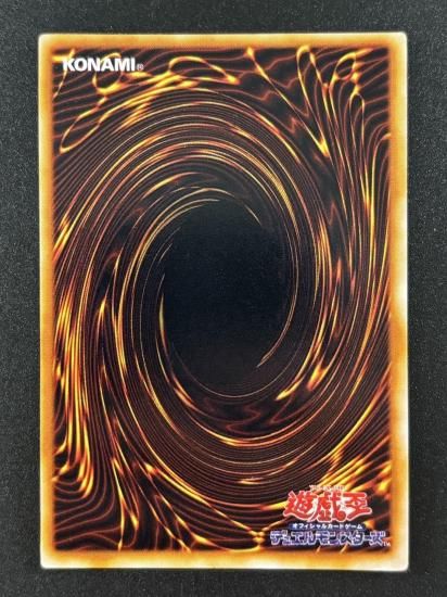 【状態B】●ハーピィ・レディ三姉妹