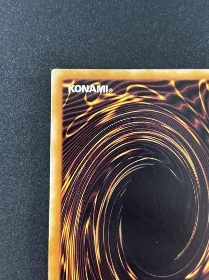 【状態B】●双頭の雷龍