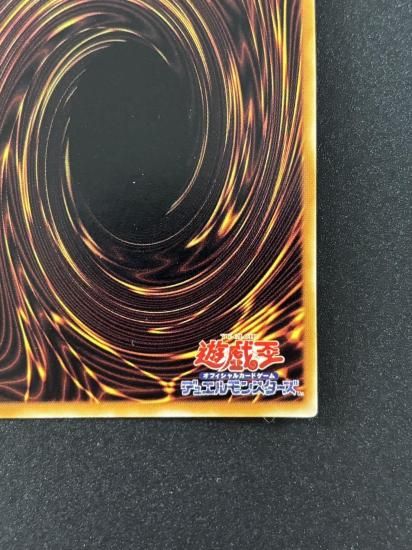 【状態B】●双頭の雷龍