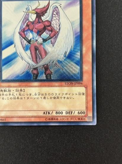 【状態B-】●N・エア・ハミングバード(STON-JP004)