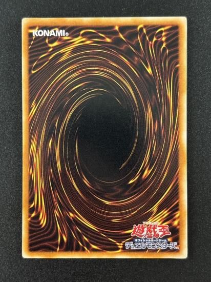 【状態B+】●ダーク・ホルス・ドラゴン(PTDN-JP016)