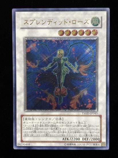 【状態B-】●スプレンディッド・ローズ(TSHD-JP043)