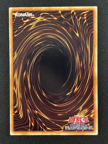 【状態B-】●スプレンディッド・ローズ(TSHD-JP043)