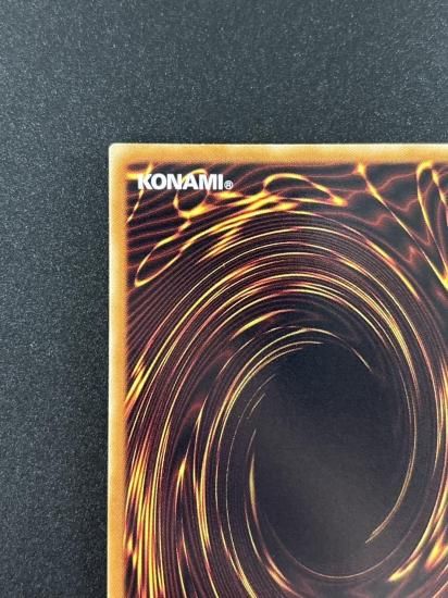 【状態B-】●スプレンディッド・ローズ(TSHD-JP043)