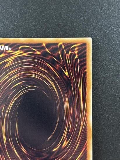 【状態B-】●スプレンディッド・ローズ(TSHD-JP043)