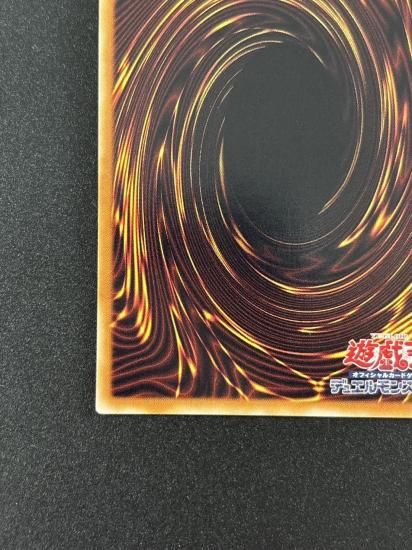 【状態B-】●スプレンディッド・ローズ(TSHD-JP043)