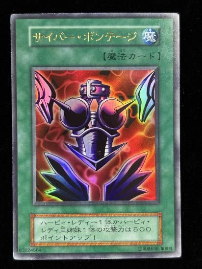 【状態B】●サイバー・ボンテージ