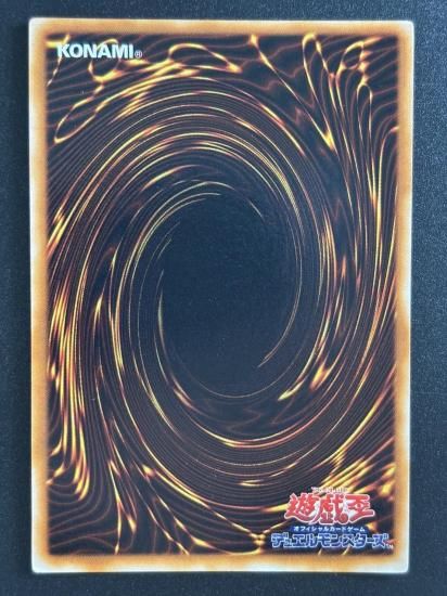 【状態B】●サイバー・ボンテージ