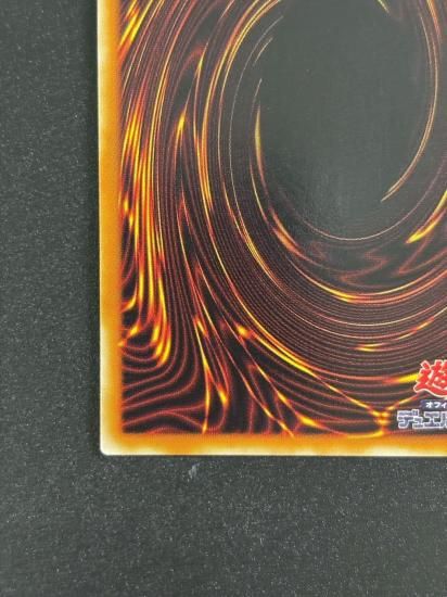 【状態C+】●竜騎士ガイア(309-057)