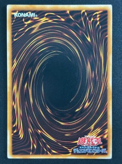 【状態B-】●N・アクア・ドルフィン(POTD-JP003)