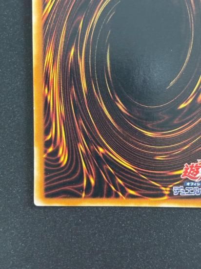 【状態B-】●N・アクア・ドルフィン(POTD-JP003)