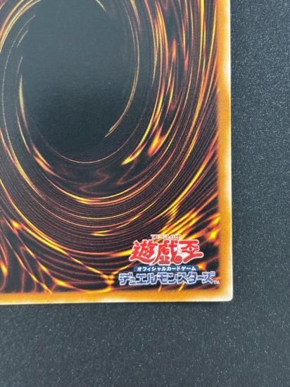 【状態B-】●N・アクア・ドルフィン(POTD-JP003)