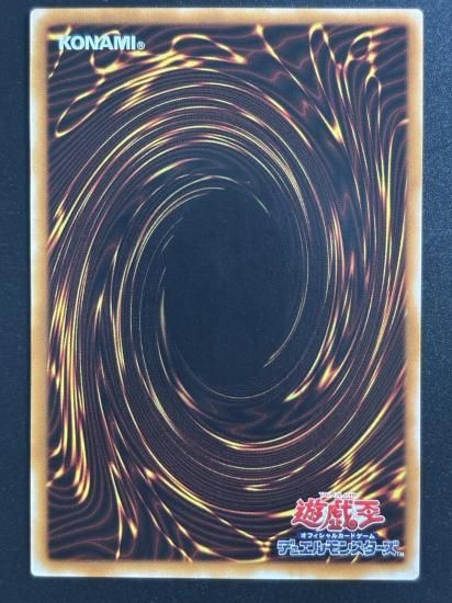 【状態Ｃ+】●カイザー・グライダー(304-051)