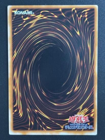 【状態B-】●混沌の黒魔術師(307-010)