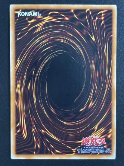 【状態B+】●ジェノサイドキングデーモン(305-019)