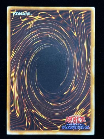 【状態B】●ライオンの儀式(SR)