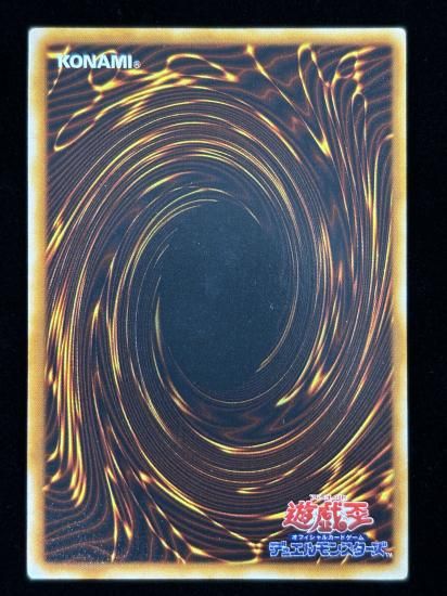 【状態B】●シャイン・キャッスル(UR)