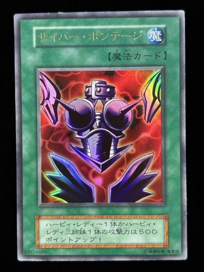 【状態B】●サイバー・ボンテージ(UR)