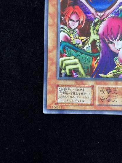 【状態B】●ハーピィ・レディ三姉妹(SE)