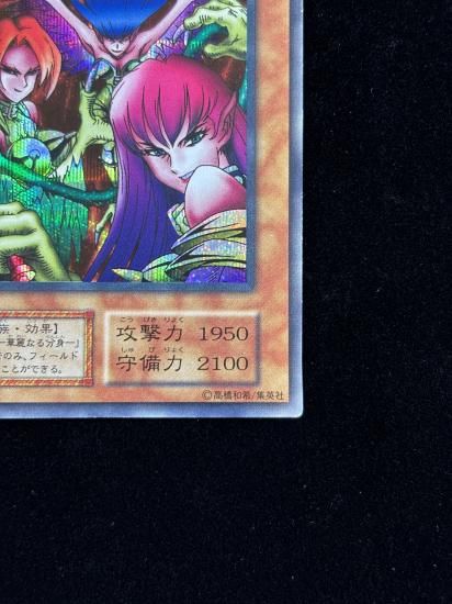 【状態B】●ハーピィ・レディ三姉妹(SE)