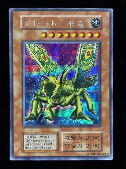 【状態B】●グレート・モス(SE)