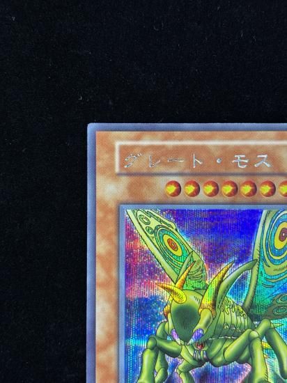 【状態B】●グレート・モス(SE)