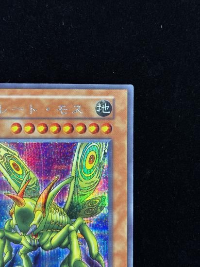 【状態B】●グレート・モス(SE)