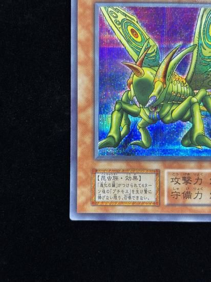 【状態B】●グレート・モス(SE)