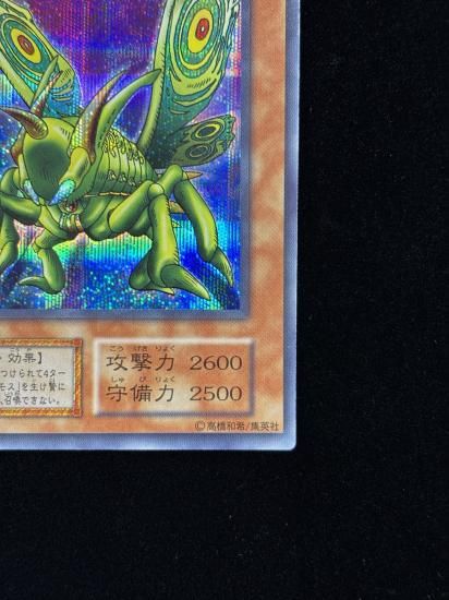 【状態B】●グレート・モス(SE)