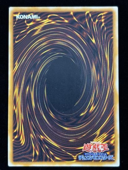 【状態B】●カタパルト・タートル(SR)